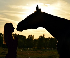 Horse and Person in Sunset